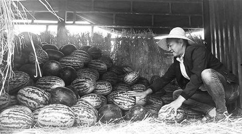 城固吃瓜群众事件视频曝光,视频曝光揭示现场冲突瞬间