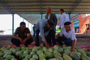 新疆的吃瓜群众是什么,独特地域文化的缩影与传承