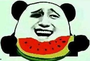 一个人吃瓜群众