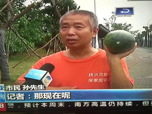 平阳吃瓜群众事件最新,一场网络舆论的风暴与反思