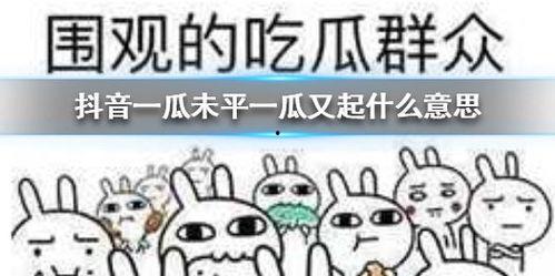 吃瓜群众抖音全部,全民娱乐时代的全民参与