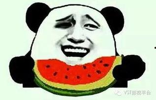 吃瓜群众风景视频下载,捕捉吃瓜群众眼中的风景瞬间