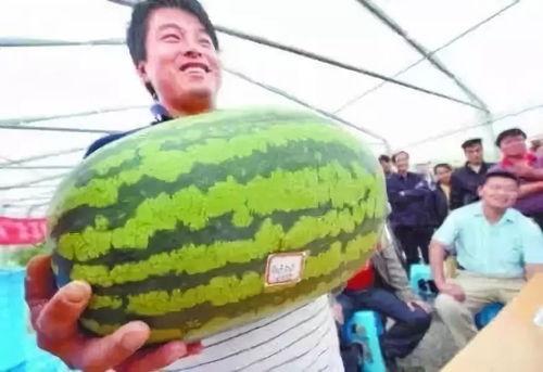 金山县吃瓜群众,吃瓜群众眼中的烟火人间