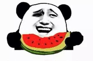 吃瓜群众看球王